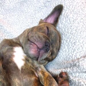 Meet your Posher, Anna